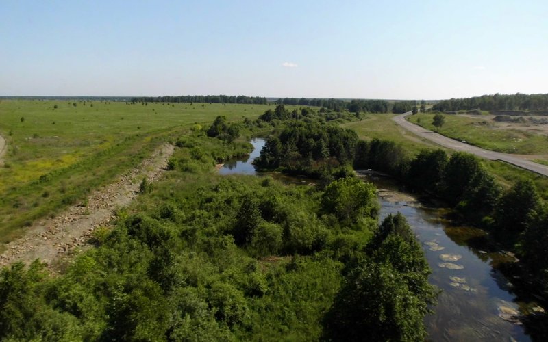 Вода может течь вверх против силы тяжести в тонких трубках.