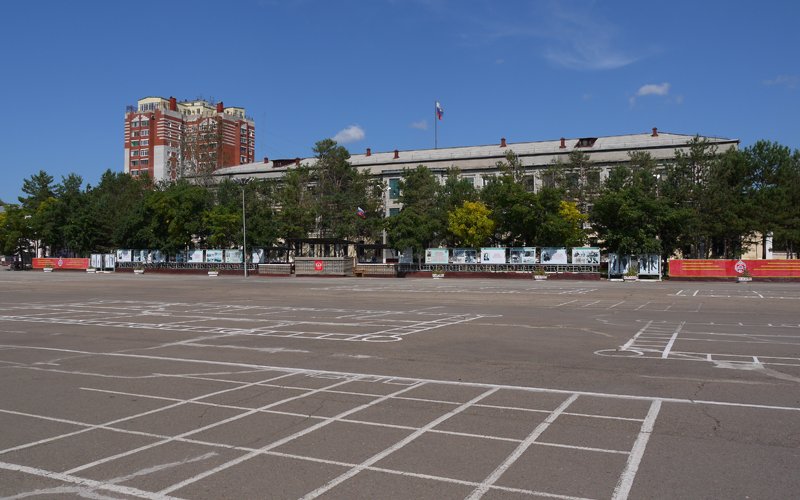 Плацента содержит клетки матери, которые остаются в организме женщины минимум 27 лет после родов.