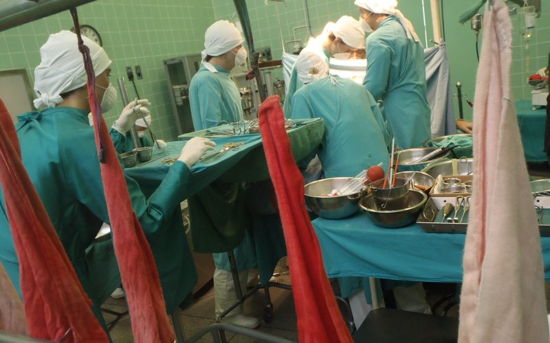 Трансплантация фекальной микробиоты излечивает рекуррентную инфекцию Clostridium difficile в 90% слу