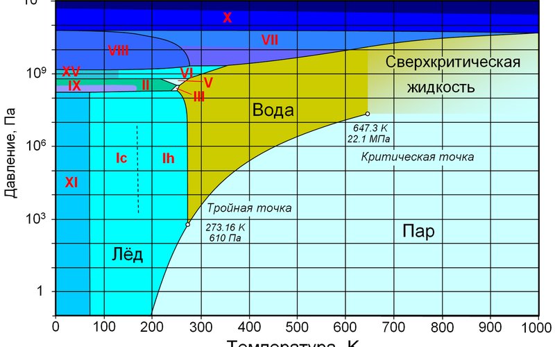 Сверхкритическая вода (T>374°C, P>22 МПа) становится органическим растворителем и растворяет жиры лу
