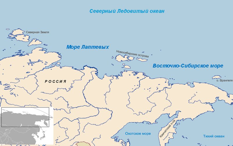 Арктический термит Reticulitermes flavipes выживает при температуре –40°C, вырабатывая криопротектор
