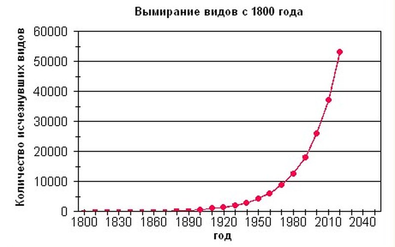 Некоторые виды акул не рождаются и не откладывают яйца — эмбрион развивается внутри матери 3 года.