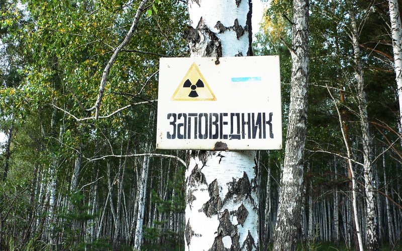 Радиоактивный углерод-14 от ядерных испытаний 1960-х создал изотопный слой в кольцах деревьев, датир